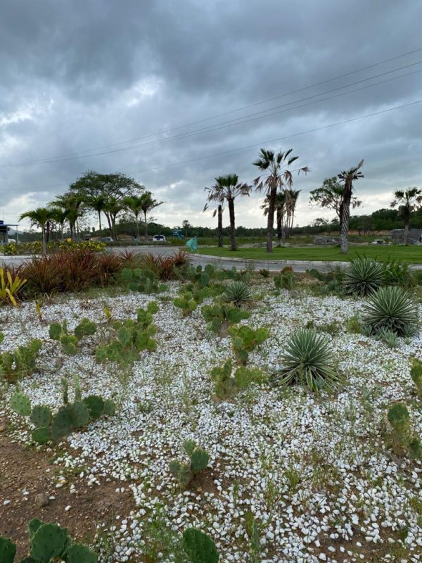 Lote / Terreno