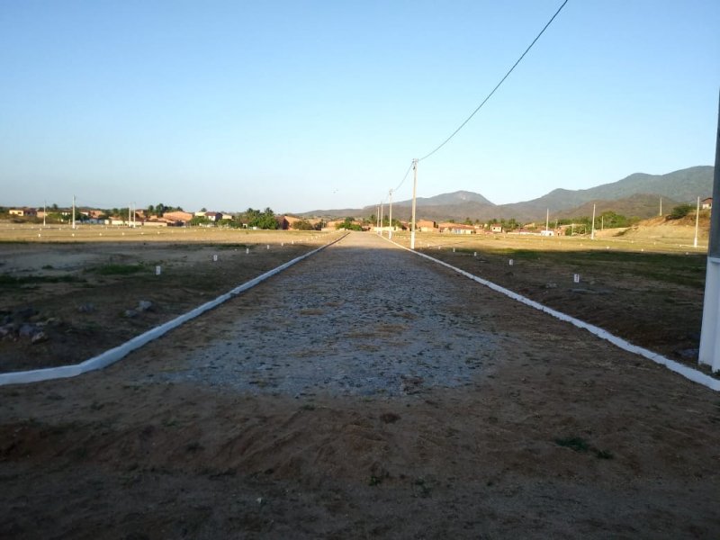 Lote / Terreno