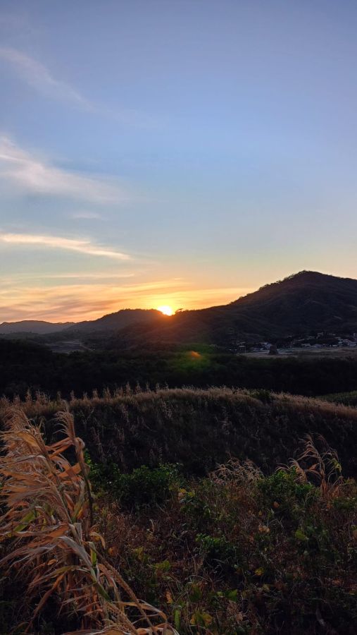 Terreno - Venda - Sapupara - Maranguape - CE