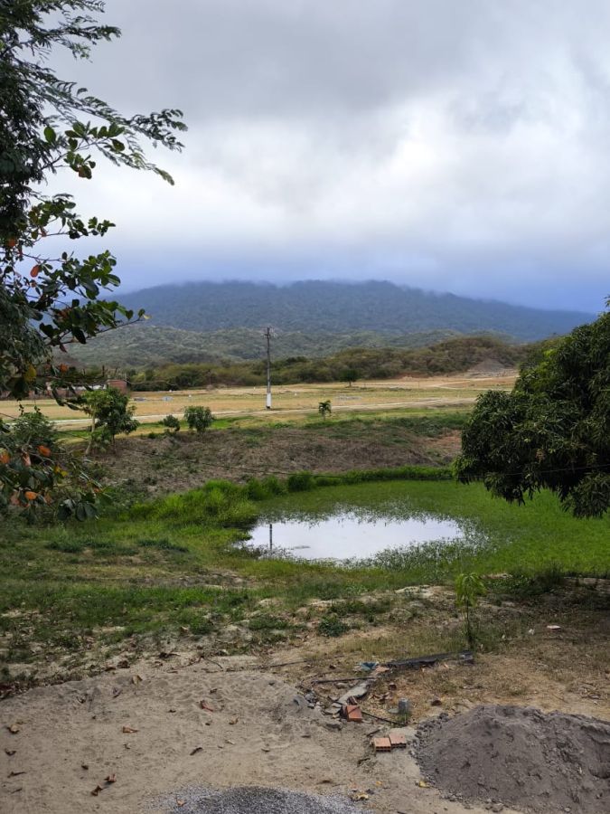 Terreno - Venda - Sapupara - Maranguape - CE