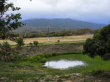 Terreno e Lotes P� de Serra - Maranguape